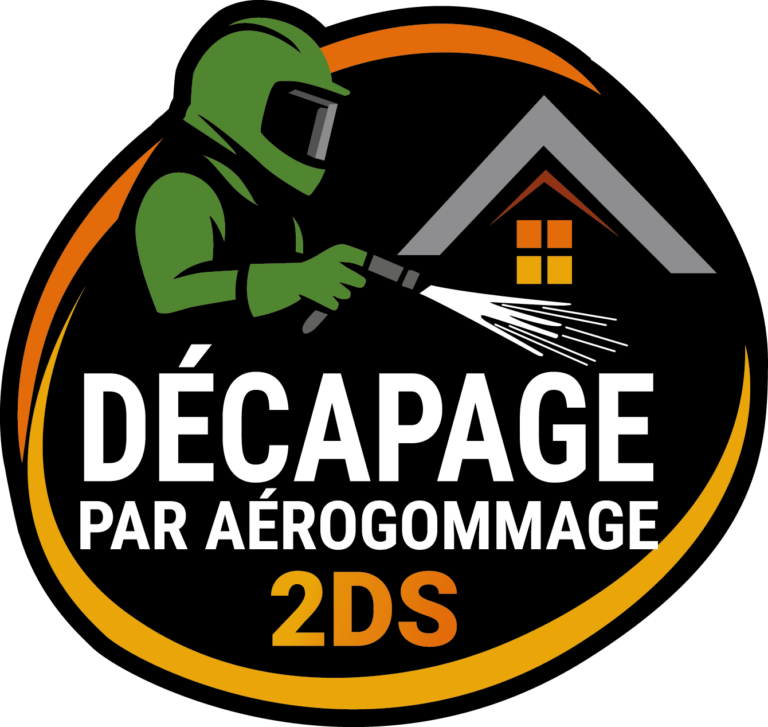 Logo 2DS 768x727