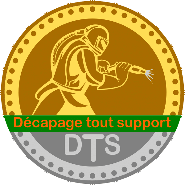 logo dts 2
